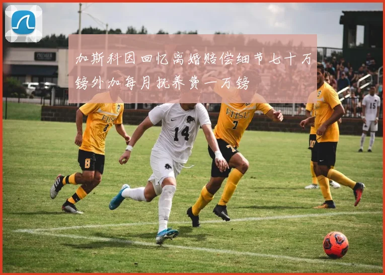 加斯科因回忆离婚赔偿细节七十万镑外加每月抚养费一万镑