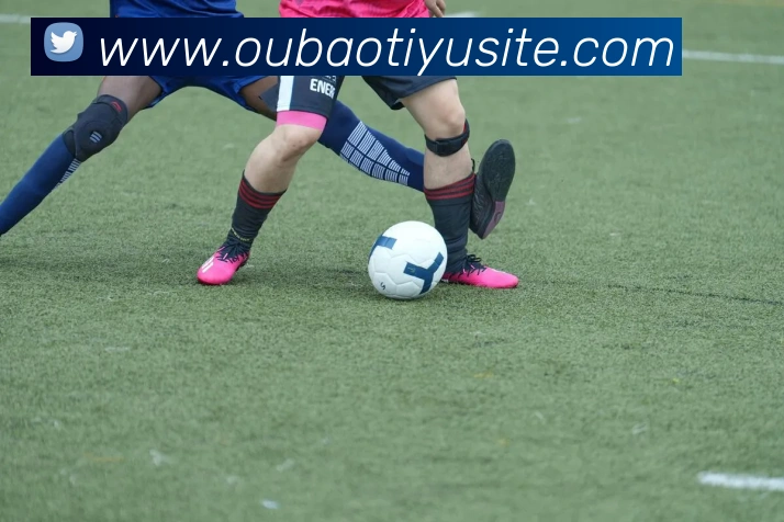 欧宝体育平台生态图