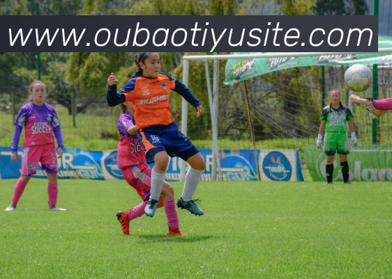 欧宝体育全站App